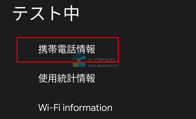 Android12にしたらPixel3 XLで楽天モバイルが繋がらなくなったときの対処方法